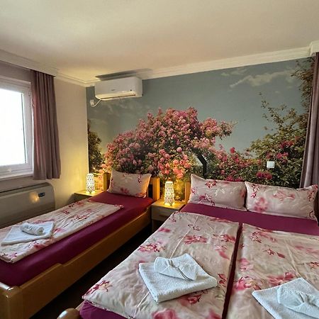 Apartmani "Marija" גולובאץ מראה חיצוני תמונה