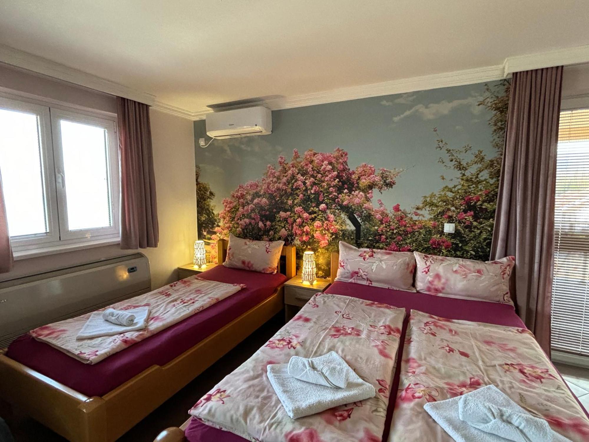 Apartmani "Marija" גולובאץ מראה חיצוני תמונה