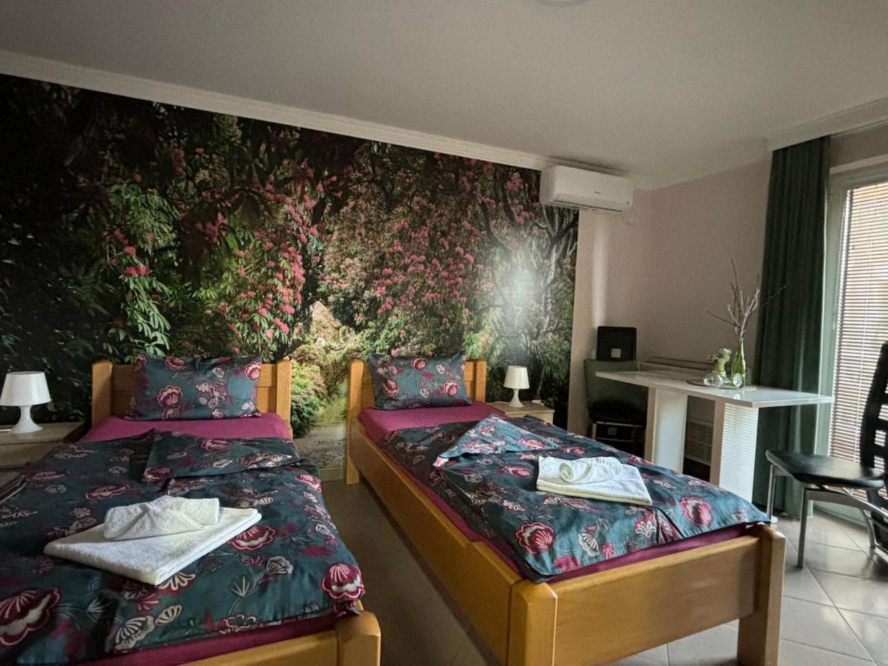 Apartmani "Marija" גולובאץ מראה חיצוני תמונה