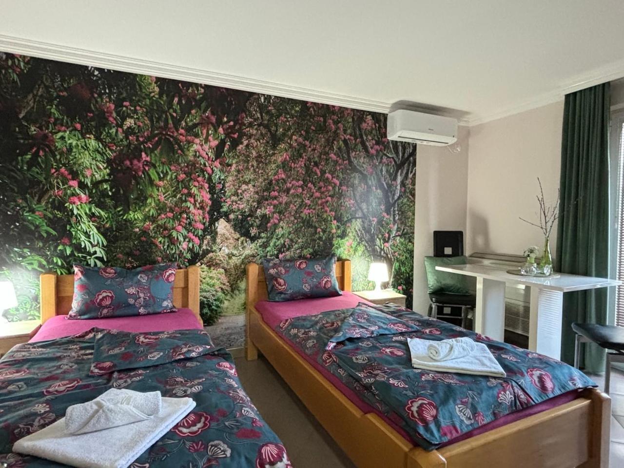 Apartmani "Marija" גולובאץ מראה חיצוני תמונה