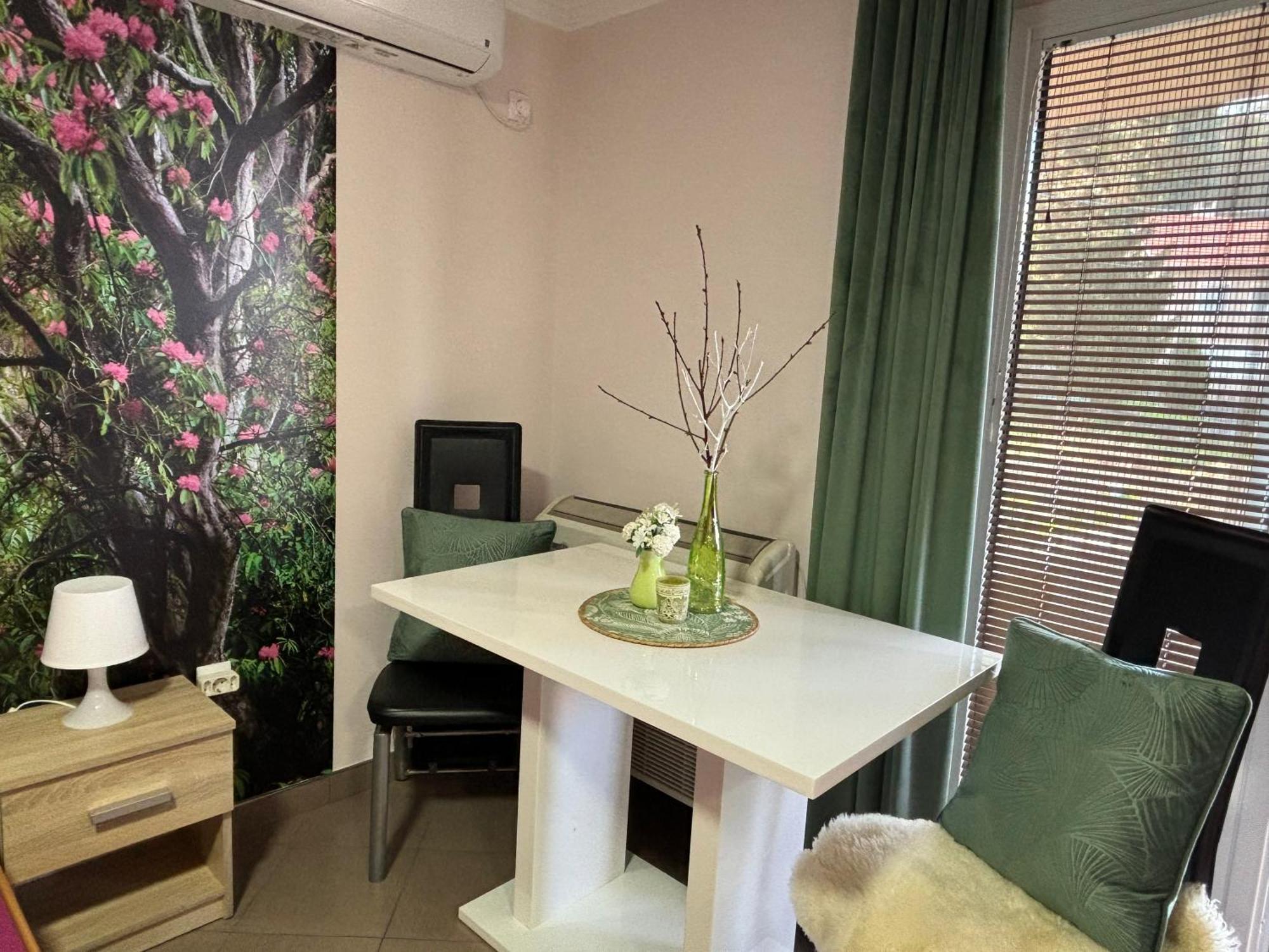 Apartmani "Marija" גולובאץ מראה חיצוני תמונה